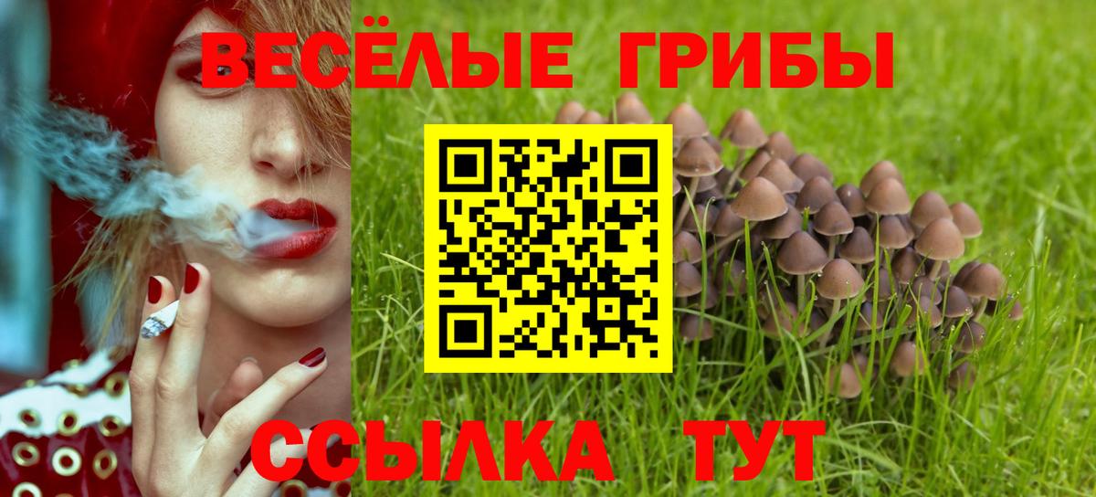 Галлюциногенные грибы Magic Shrooms  Вход с VPN  Янаул 