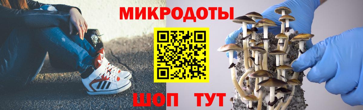 Псилоцибиновые грибы GOLDEN TEACHER Янаул